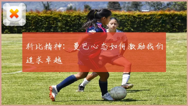 科比精神:曼巴心态如何激励我们追求卓越