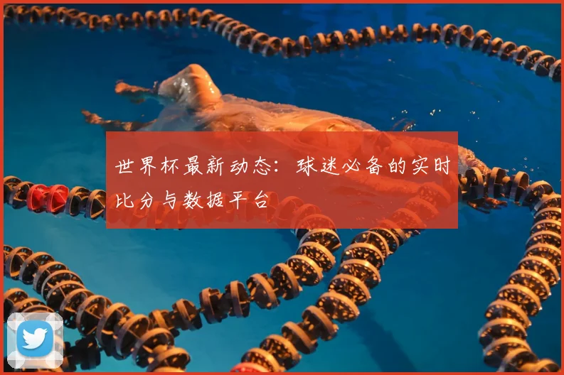 世界杯最新动态：球迷必备的实时比分与数据平台