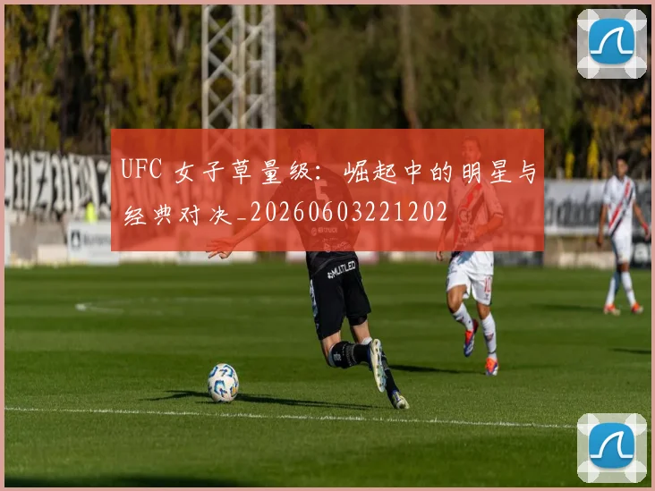 UFC 女子草量级：崛起中的明星与经典对决_20260603221202
