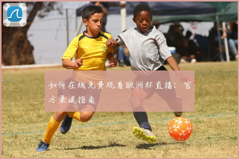如何在线免费观看欧洲杯直播:官方渠道指南