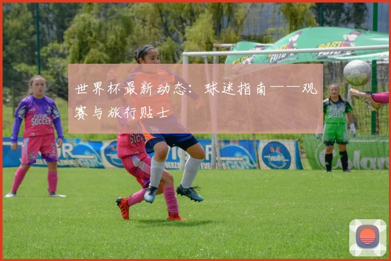 世界杯最新动态:球迷指南——观赛与旅行贴士